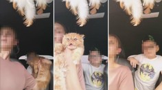 Žena si za jízdy hrála s kočkou, vezla nepřipoutaného syna. Vše vysílala