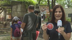 Žralok i vzácní lvi. Hodonínská zoo u inspektora TV Nova zabodovala!