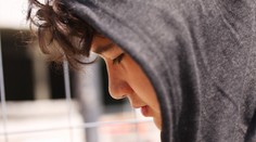 Studenti si ze školního výletu přivezli neobvyklý suvenýr. Hrozí jim vězení