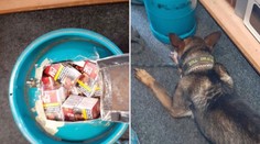 Razie na Mostecku: V lahvích se skrývaly hodinky a cigarety bez kolku