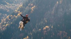 Létající pes! Se svým majitelem si naplno užívá paragliding