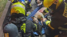 V hořícím bytě uvízli dva psi. Hasiči ze všech sil bojovali o jejich životy