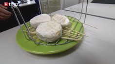 Tajemství plísňových sýrů: Jak si vyrobit camembert doma? Podívejte se