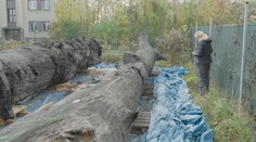 Čeští archeologové slaví úspěch. V Labi našli stovky let staré čluny