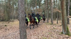 Desítky policistů v Klánovickém lese. Nebezpečí nehrozí, uklidňují
