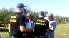 VIDEO: Razie celní správy v zemědělských podnicích