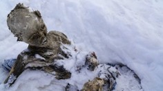 Ze sněhu najednou trčela ruka! V horách našli mrtvoly z roku 1959