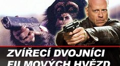 Zvířecí dvojníci filmových hvězd. Fotky
