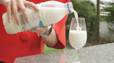 Ceny mléka dál padají. Zemědělci ale bijí na poplach