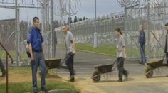 Vězni, do práce, velí ministerstvo! Zatím jich pracuje polovina