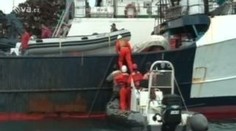 Lidé z Greeneace se pobili s rybáři. Prý nelegálně lovili tuňáky