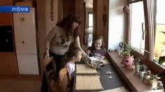 VIDEO: V supermarketu byl v banánech jedovatý pavouk