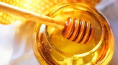 Inspekce našla další antibiotika v medu! SEZNAM UVNITŘ