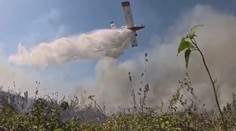 Brazílii sužují rozsáhlé požáry. S ohněm bojuje přes 15 tisíc hasičů