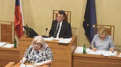 Senátorka Hamplová chce rasově segregovat děti. Pobouřila tím lidi