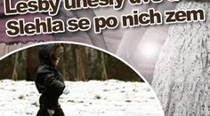 Lesby unesly dvě děti. Slehla se po nich zem