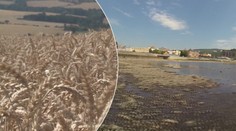 Nejhorší sucho za 500 let, chybí tisíce litrů vody! Projekty se kvůli viru nezruší