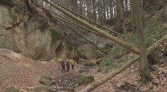 Úřady  na Chrudimsku zakázaly vstup do lesa. V Pivnické rokli se zřítila jeskyně