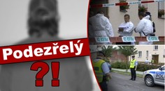 BESTIÁLNÍ VRAŽDA DÍVENKY (11)! Údajně ji UBODAL její BRATR!