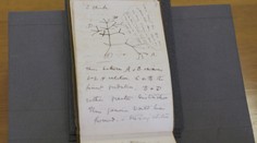 Překvapení pro knihovníky. Někdo po 22 letech vrátil zmizelé Darwinovy zápisníky