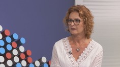 Vyšší dřevostavby v Česku. Požáru ani škůdců se bát nemusíte, ujišťuje expertka