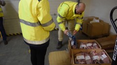 Kontroly odhalily tři tuny masa se salmonelou! Část už se prodala