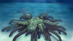 Mýtus ožil! Vědci našli legendární monstrum žijící na dně oceánu