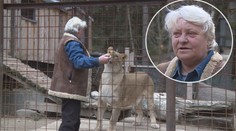 "Jen přes mou mrtvolu!" odmítá žena vydat lvy. Povolení nemá