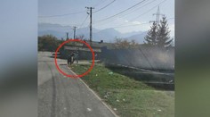 VIDEO: Ve městě Victoria ve středním Rumunsku zaútočil na lidi medvěd