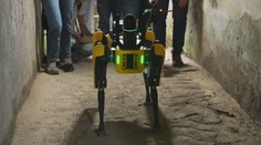 Tady hlídám já! Antické město Pompeje má strážit robotický pes