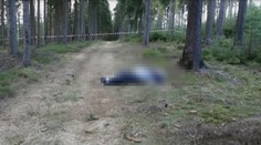 Přebral mu ženu, tak ho vylákal na procházku do lesa a ubodal