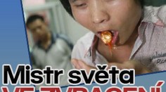 Mistr světa ve ZVRACENÍ
