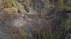 Požár v Českém Švýcarsku slábne. Déšť pomohl zmenšit zasaženou plochu