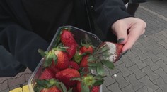 Kontrola potravin na Karlovarsku: Nedostatků bylo jen velmi málo