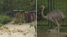 Déšť zvedá hladiny řek. Povodí Odry se připravuje na 20leté povodně