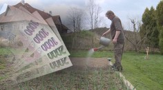 Chytejte dešťovku, dostanete peníze. Stát uvolní 200 milionů!