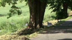 Tragédie na rally. Závodníci narazili do stromu, zabili se