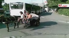 VIDEO: Muž v Bukurešti jezdil s oslem V PROTISMĚRU!