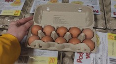 Cena vajec rapidně klesla. Chovatelé slepic se ale chystají opět zdražovat