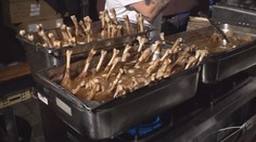 Zajímavosti svatého Martina: Na odrůdě vína záleží. A takhle si připravíte husu
