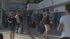 Očkovací pasy dostaly zelenou. Začít fungovat mají ještě před létem