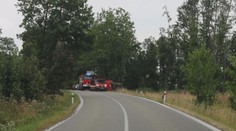Motorkářka na Vysočině narazila do stromu. Policie hledá svědky nehody