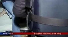 Kubiceho hoši mají ostré lokty