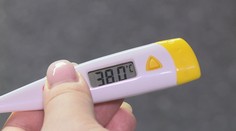 Těžké průjmy a zvracení. Lidí s rotaviry je sedmkrát víc než loni, uvedla hygienička