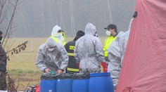 Na jihu Čech se objevila ptačí chřipka. Veterináři utratili 15 tisíc kachen