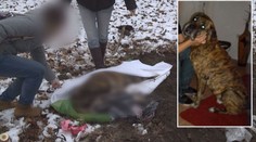 "Kdyby mu prošlo tohle, tak už všechno!"