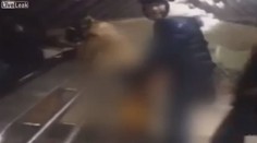 Sex v metru: Dvojice si to rozdala před vlastním dítětem! VIDEO
