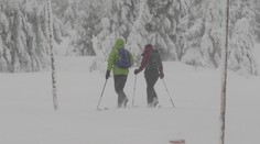 Sníh v Česku komplikoval dopravu, v Krkonoších a Jeseníkách hrozí laviny
