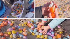 V Německu měli Velikonoce dřív! Moře vyvrhlo tisíce vajíček! FOTO