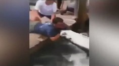 Video: Obrovská ryba málem ukousla rybářovi ruku